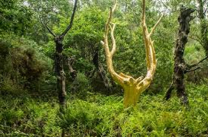 Services de conciergerie locative pour la gestion des locations courtes durée et colocation à Rennes