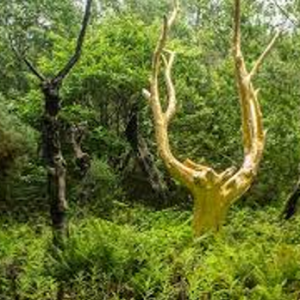 Services de conciergerie locative pour la gestion des locations courtes durée et colocation à Rennes